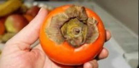 Cennet meyvesinin bilinmeyen faydası.