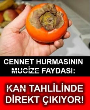 İşte Zehra'nın Kazandığı Okul!