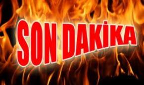 Sevilen Ünlü Sanatçımız