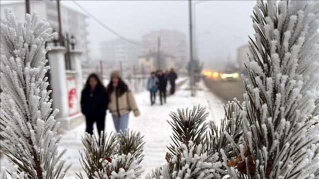 İşte Zehra'nın Kazandığı Okul!