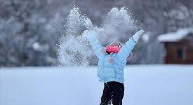 İşte Zehra'nın Kazandığı Okul!