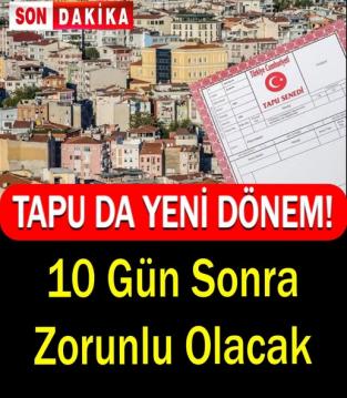 İşte Zehra'nın Kazandığı Okul!