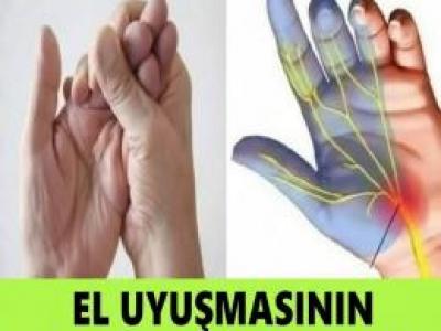 El Uyuşmasının Asıl Sebebi