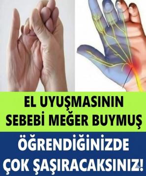 İşte Zehra'nın Kazandığı Okul!