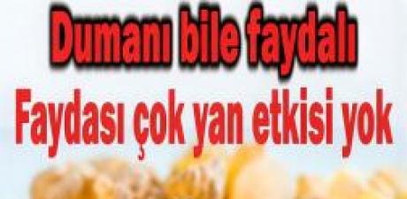 Romatizmadan Öksürüğe, İshale Kadar Şifa Sunan Doğal Mucize