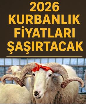 İşte Zehra'nın Kazandığı Okul!