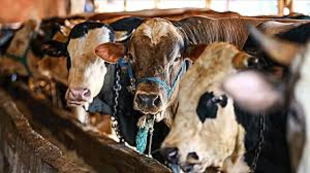 İşte Zehra'nın Kazandığı Okul!