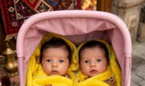 yeni doğmuş ikizler