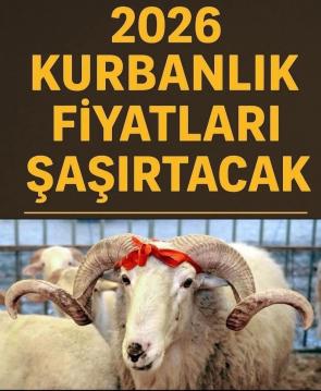 İşte Zehra'nın Kazandığı Okul!