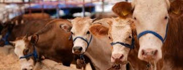 İşte Zehra'nın Kazandığı Okul!