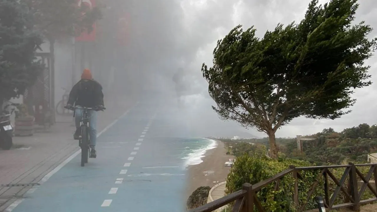 İşte Zehra'nın Kazandığı Okul!