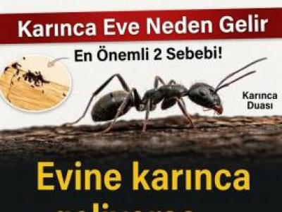 Eve Karınca Gelmesinin allahın 7 işareti 