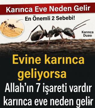 İşte Zehra'nın Kazandığı Okul!