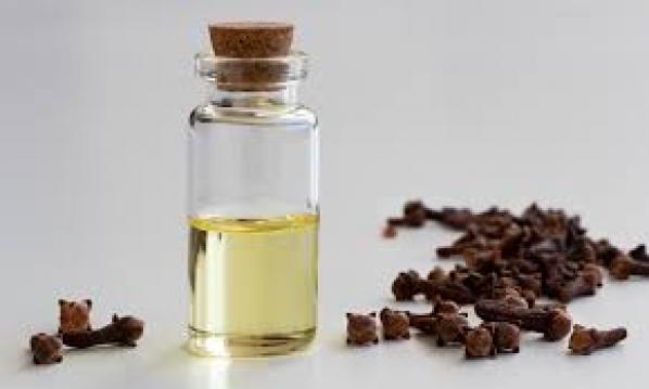 İşte Zehra'nın Kazandığı Okul!