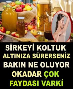 İşte Zehra'nın Kazandığı Okul!