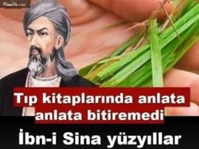 Damar Sertliğine Karşı Doğal Kalkan!