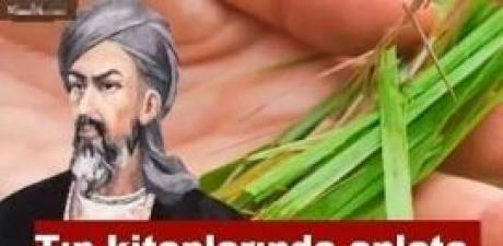 Damar Sertliğine Karşı Doğal Kalkan!