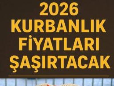 Kurban fiyatları belirlendi