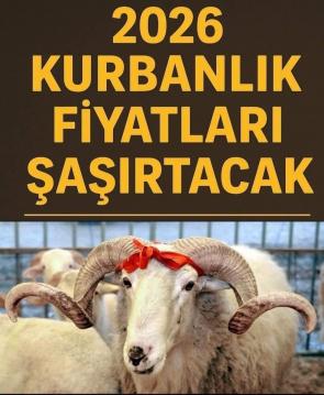 İşte Zehra'nın Kazandığı Okul!