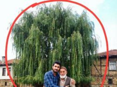 Beni Tek Başına Büyüten