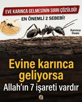 İşte Zehra'nın Kazandığı Okul!