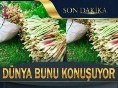 Türkiye de üretilmeye başladı.