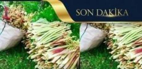 Türkiye de üretilmeye başladı.