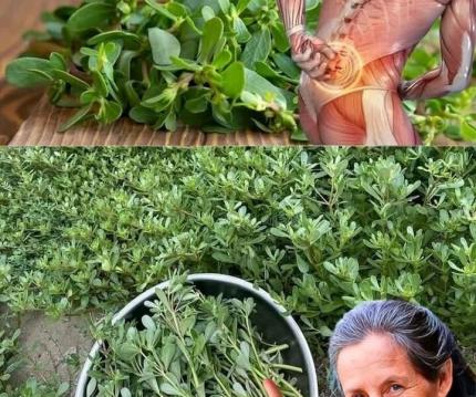 İşte Zehra'nın Kazandığı Okul!