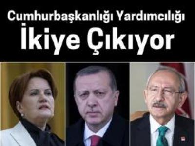 Cumhurbaşkanı Yardımcı