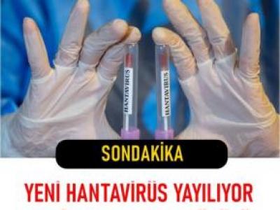 Yeni Virüs Belirtileri