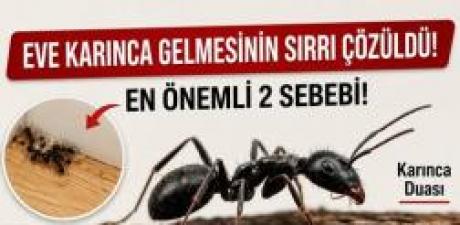 Eve Karınca Gelmesinin allahın 7 işareti nedir