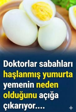 İşte Zehra'nın Kazandığı Okul!