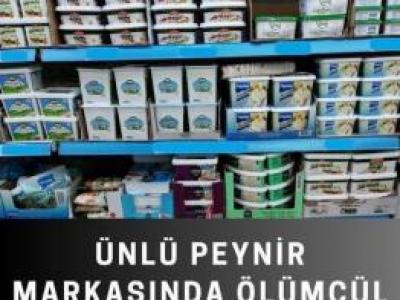 Hepimiz peynir diye yiyoruz