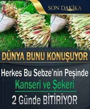 İşte Zehra'nın Kazandığı Okul!