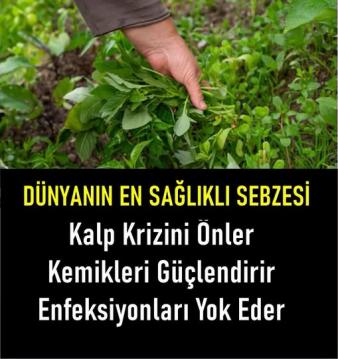 İşte Zehra'nın Kazandığı Okul!