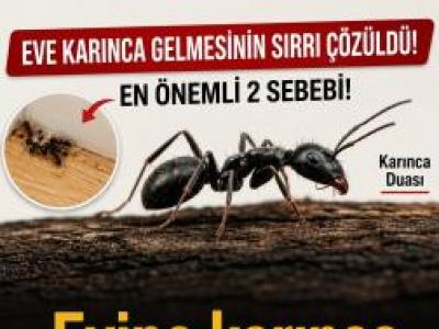 Eve Karınca Gelmesinin allahın 7 işareti nedir
