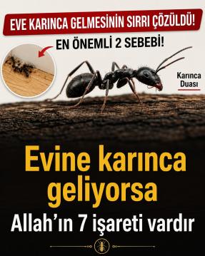 İşte Zehra'nın Kazandığı Okul!