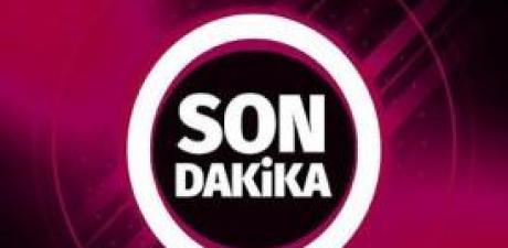 KARDEŞLER ARASI