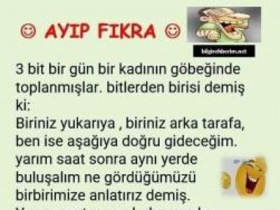 3 bit bir gün