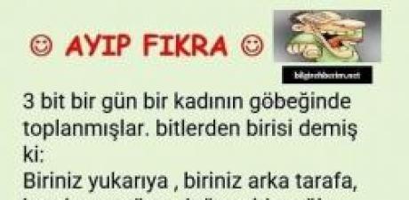 3 bit bir gün