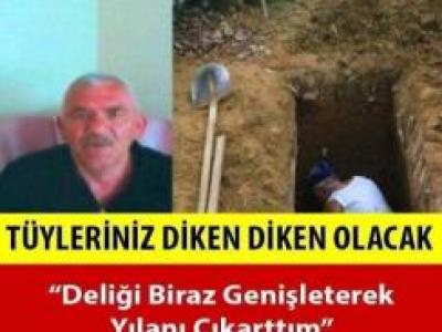 Mezar Kazıcının Başına Gelenler