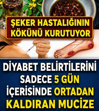 İşte Zehra'nın Kazandığı Okul!