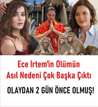 İşte Zehra'nın Kazandığı Okul!