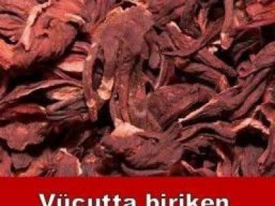 Böbrekleri yeniden doğmuş