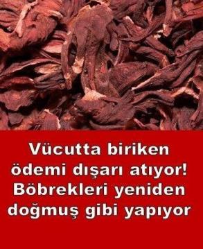 İşte Zehra'nın Kazandığı Okul!