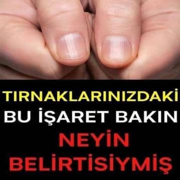 İşte Zehra'nın Kazandığı Okul!