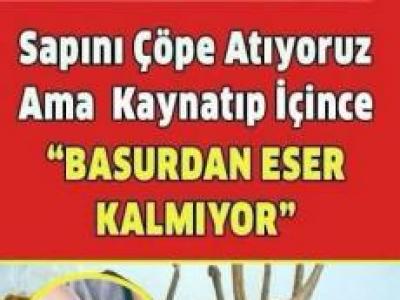 Basura Veda Edin