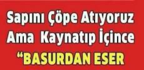Basura Veda Edin
