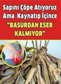 İşte Zehra'nın Kazandığı Okul!