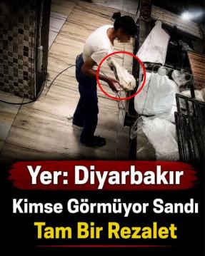 İşte Zehra'nın Kazandığı Okul!